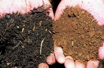 Compare soil with high organin matter vs. low organic matter